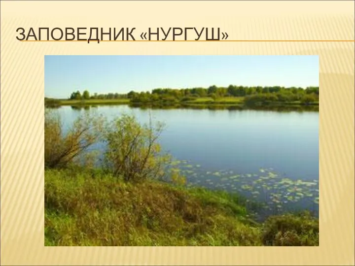 ЗАПОВЕДНИК «НУРГУШ»