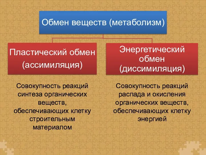 Совокупность реакций распада и окисления органических веществ, обеспечивающих клетку энергией Совокупность реакций