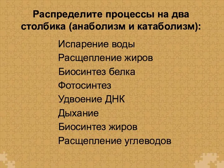 Распределите процессы на два столбика (анаболизм и катаболизм): Испарение воды Расщепление жиров