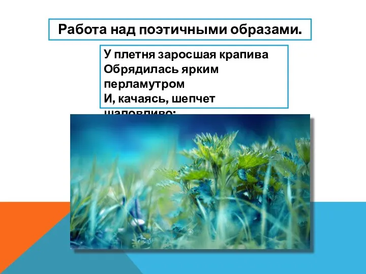 Работа над поэтичными образами. У плетня заросшая крапива Обрядилась ярким перламутром И,