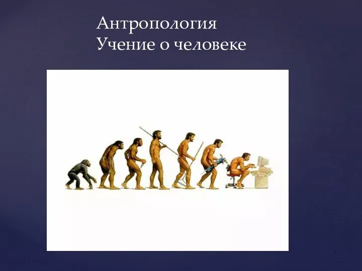Антропология Учение о человеке