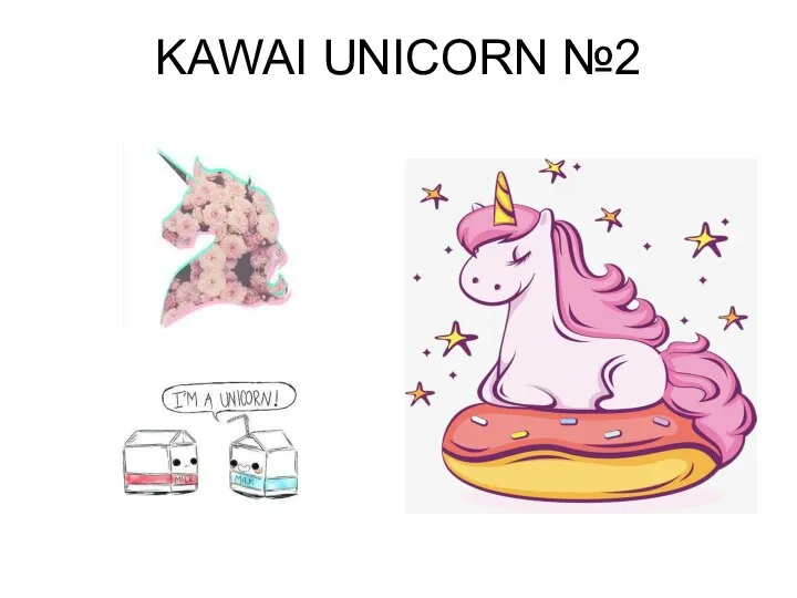 KAWAI UNICORN №2