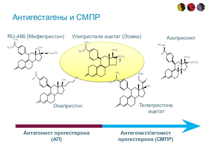 Антигестагены и СМПР Антагонист прогестерона (АП) Антагонист/агонист прогестерона (СМПР)