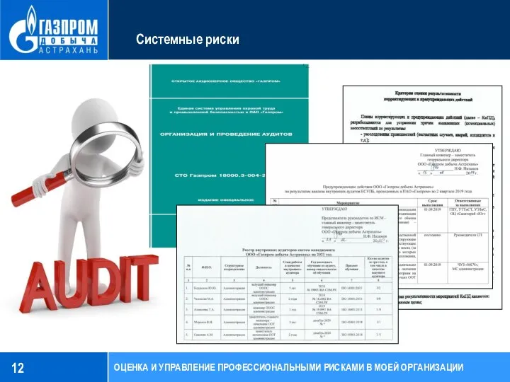 Системные риски ОЦЕНКА И УПРАВЛЕНИЕ ПРОФЕССИОНАЛЬНЫМИ РИСКАМИ В МОЕЙ ОРГАНИЗАЦИИ 12