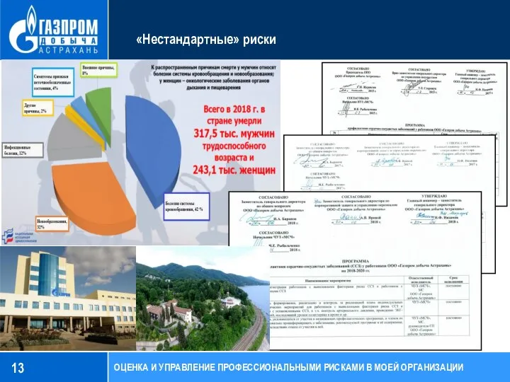 «Нестандартные» риски ОЦЕНКА И УПРАВЛЕНИЕ ПРОФЕССИОНАЛЬНЫМИ РИСКАМИ В МОЕЙ ОРГАНИЗАЦИИ 13