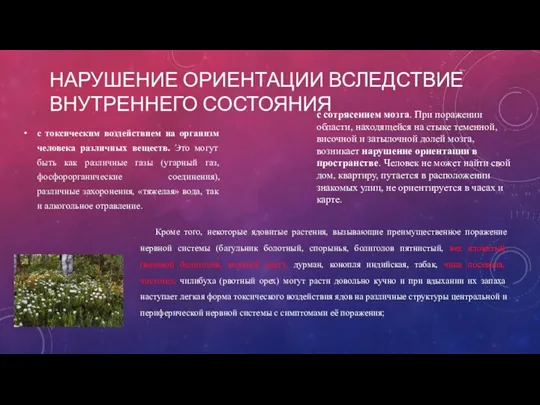 НАРУШЕНИЕ ОРИЕНТАЦИИ ВСЛЕДСТВИЕ ВНУТРЕННЕГО СОСТОЯНИЯ с токсическим воздействием на организм человека различных