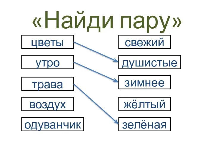 «Найди пару» цветы утро воздух одуванчик трава зелёная зимнее жёлтый свежий душистые