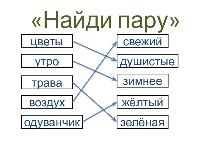 «Найди пару» цветы утро воздух одуванчик трава зелёная зимнее жёлтый свежий душистые