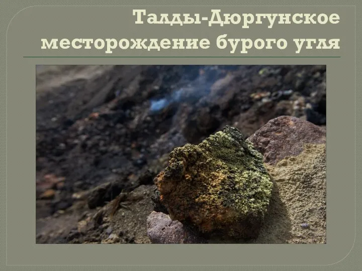 Талды-Дюргунское месторождение бурого угля