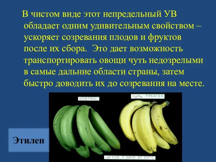 В чистом виде этот непредельный УВ обладает одним удивительным свойством – ускоряет