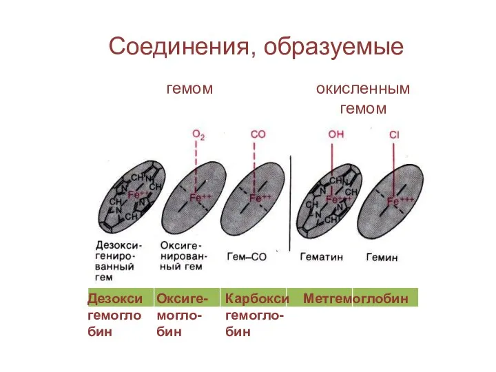 Соединения, образуемые