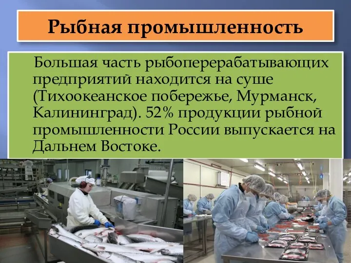 Рыбная промышленность Большая часть рыбоперерабатывающих предприятий находится на суше (Тихоокеанское побережье, Мурманск,