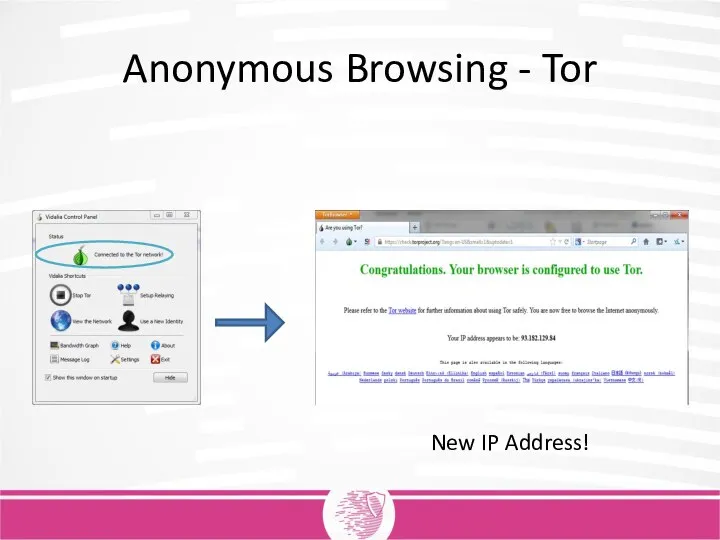 Anonymous Browsing - Tor New IP Address!