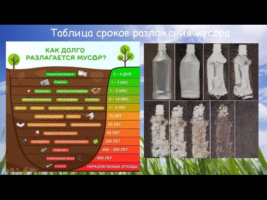 Таблица сроков разложения мусора