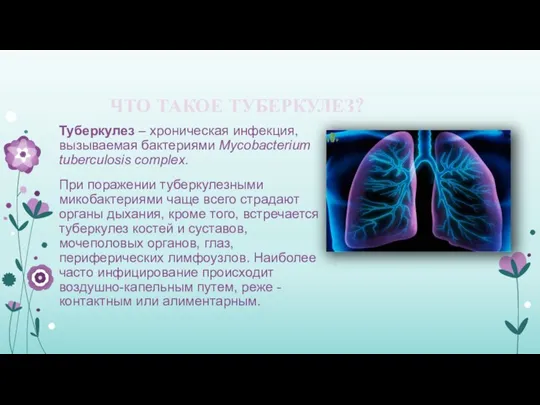 ЧТО ТАКОЕ ТУБЕРКУЛЕЗ? Туберкулез – хроническая инфекция, вызываемая бактериями Mycobacterium tuberculosis complex.