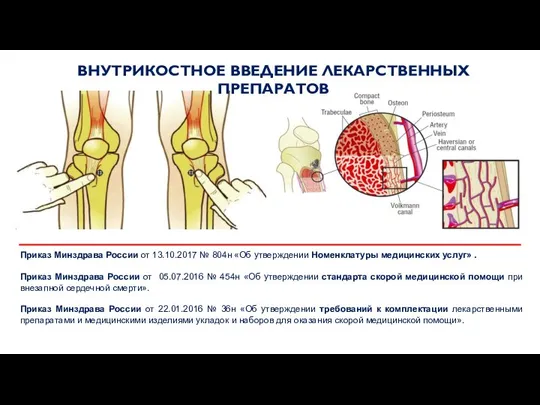 Приказ Минздрава России от 13.10.2017 № 804н «Об утверждении Номенклатуры медицинских услуг»