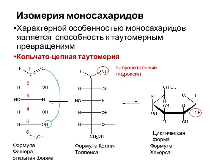 Изомерия моносахаридов Характерной особенностью моносахаридов является способность к таутомерным превращениям Кольчато-цепная таутомерия