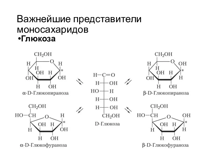 Важнейшие представители моносахаридов Глюкоза