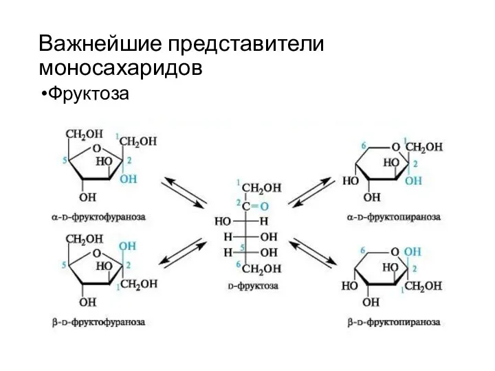 Важнейшие представители моносахаридов Фруктоза