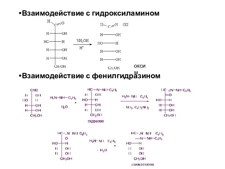 Взаимодействие с гидроксиламином Взаимодействие с фенилгидразином оксим