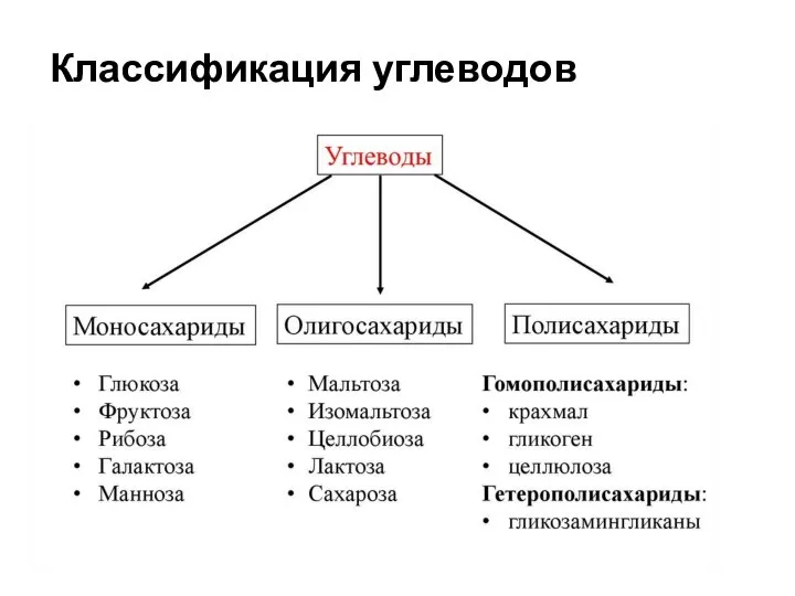 Классификация углеводов