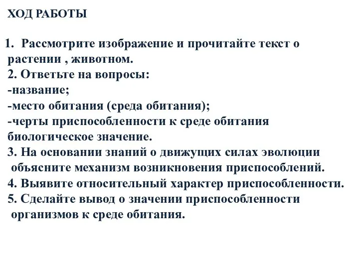 ХОД РАБОТЫ Рассмотрите изображение и прочитайте текст о растении , животном. 2.