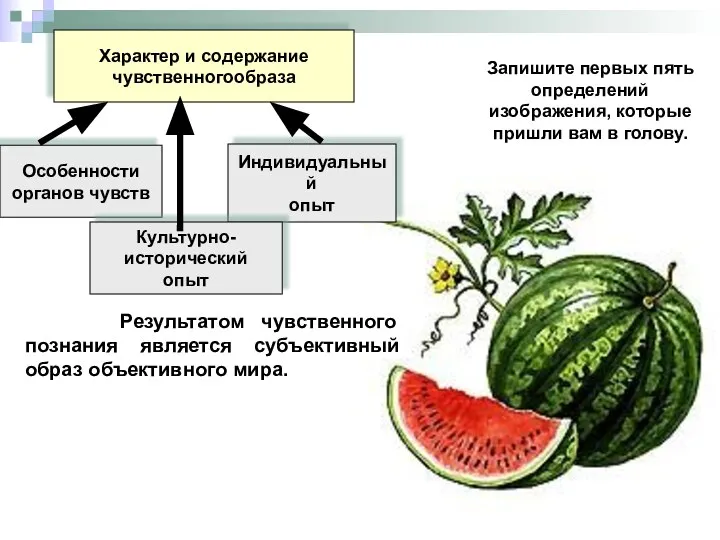 Характер и содержание чувственногообраза Особенности органов чувств Индивидуальный опыт Культурно- исторический опыт