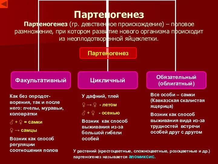 Партеногенез Партеногенез (гр. девственное происхождение) – половое размножение, при котором развитие нового