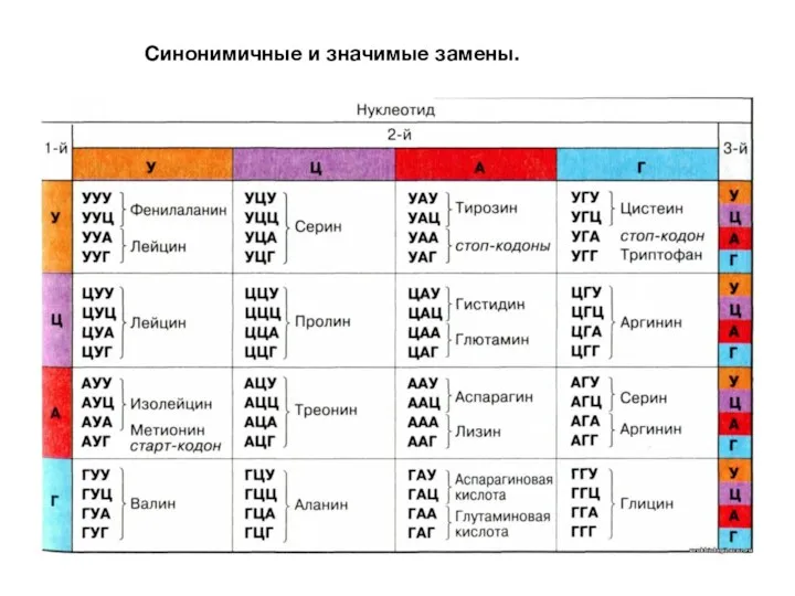 Синонимичные и значимые замены.