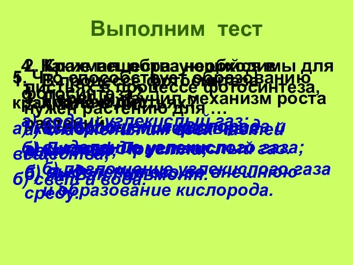 Выполним тест В процессе фотосинтеза происходит … а) поглощение кислорода и выделение