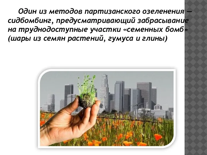 Один из методов партизанского озеленения — сидбомбинг, предусматривающий забрасывание на труднодоступные участки