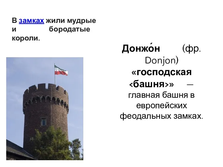 Донжо́н (фр. Donjon) «господская » — главная башня в европейских феодальных замках.