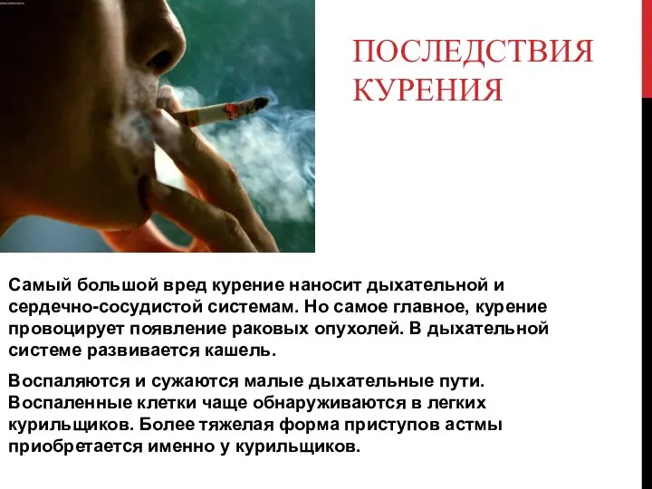 ПОСЛЕДСТВИЯ КУРЕНИЯ Самый большой вред курение наносит дыхательной и сердечно-сосудистой системам. Но