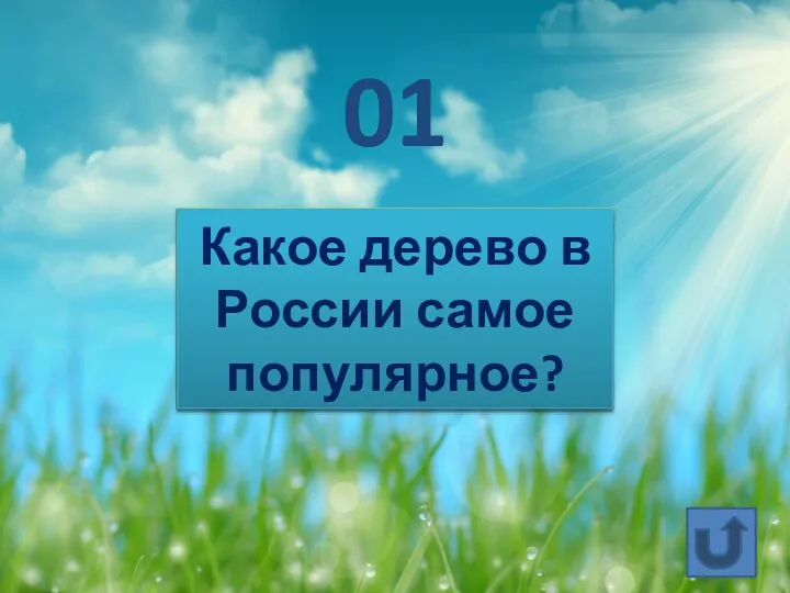 Какое дерево в России самое популярное? 01