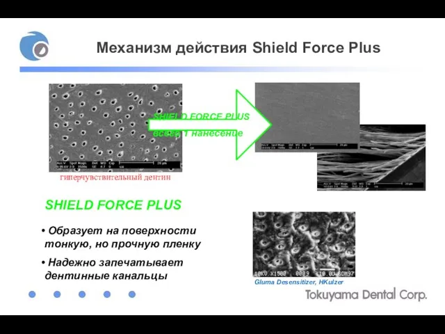 Механизм действия Shield Force Plus SHIELD FORCE PLUS Образует на поверхности тонкую,