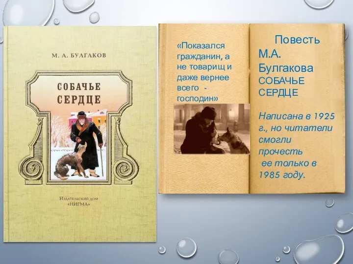 Повесть М.А. Булгакова СОБАЧЬЕ СЕРДЦЕ Написана в 1925 г., но читатели смогли