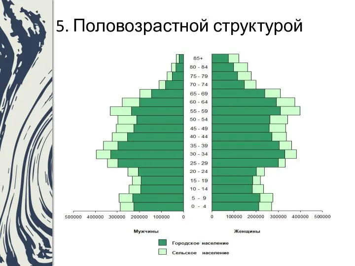 5. Половозрастной структурой