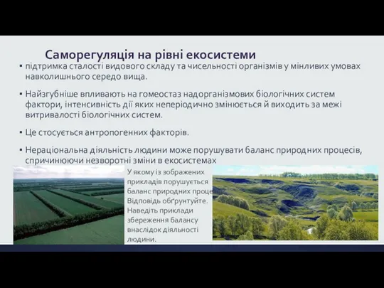 Саморегуляція на рівні екосистеми підтримка сталості видового складу та чисельності організмів у