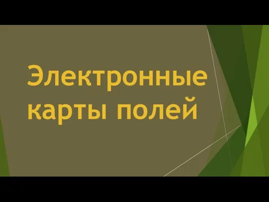 Электронные карты полей