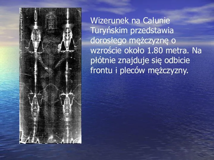 Wizerunek na Całunie Turyńskim przedstawia dorosłego mężczyznę o wzroście około 1.80 metra.