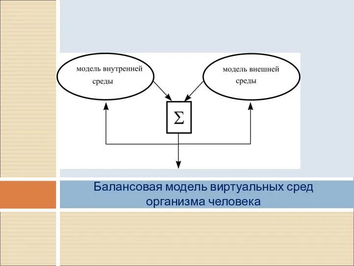 Балансовая модель виртуальных сред организма человека