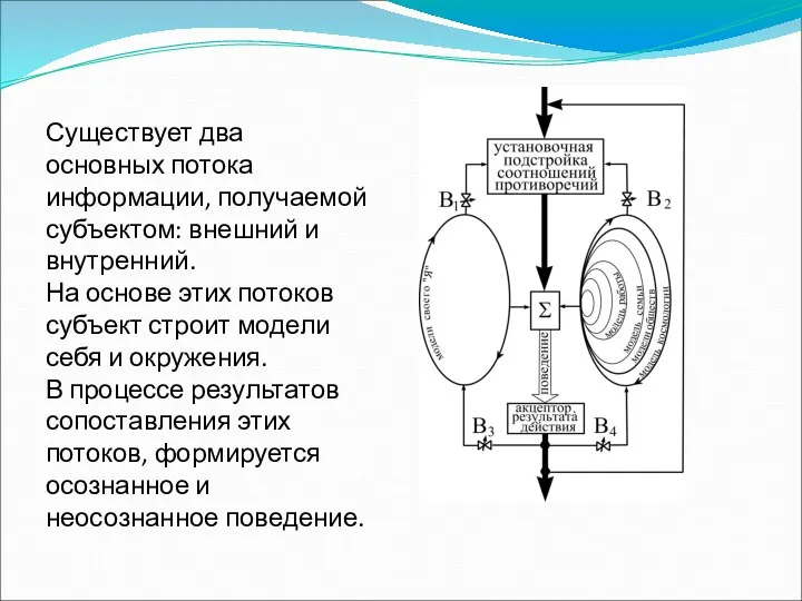 Существует два основных потока информации, получаемой субъектом: внешний и внутренний. На основе