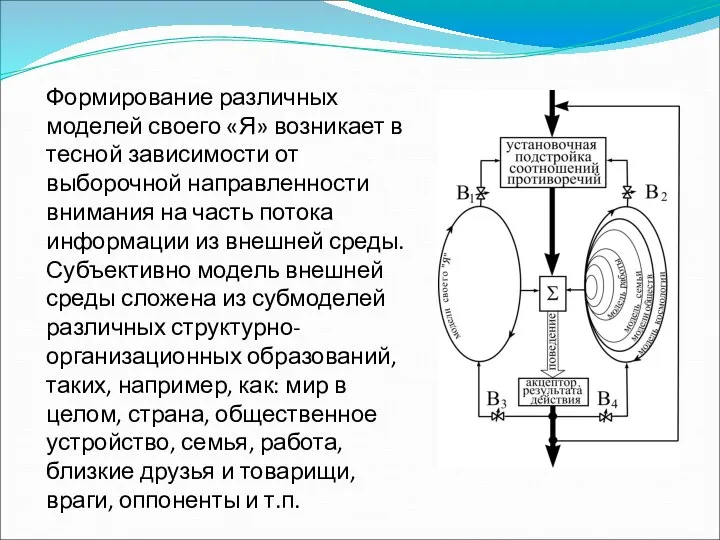 Формирование различных моделей своего «Я» возникает в тесной зависимости от выборочной направленности