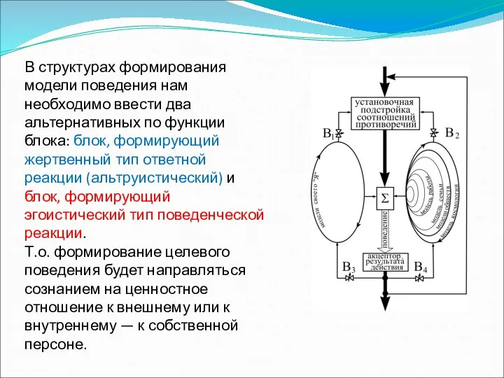 В структурах формирования модели поведения нам необходимо ввести два альтернативных по функции