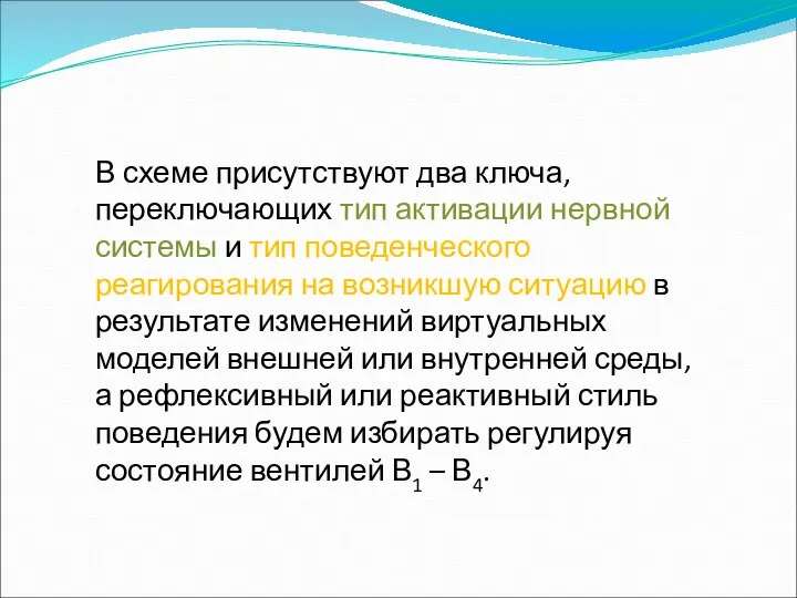 В схеме присутствуют два ключа, переключающих тип активации нервной системы и тип