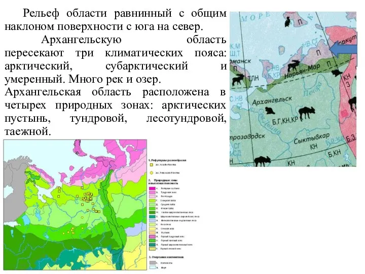 Рельеф области равнинный с общим наклоном поверхности с юга на север. Архангельскую