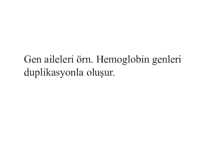 Gen aileleri örn. Hemoglobin genleri duplikasyonla oluşur.