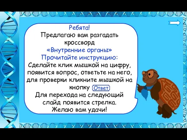 Ребята! Предлагаю вам разгадать кроссворд «Внутренние органы» Прочитайте инструкцию: Сделайте клик мышкой