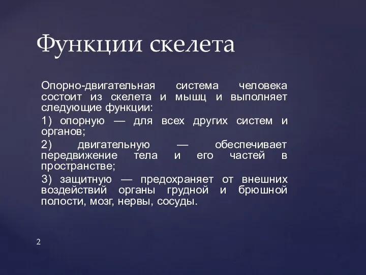 Опорно-двигательная система человека состоит из скелета и мышц и выполняет следующие функции: