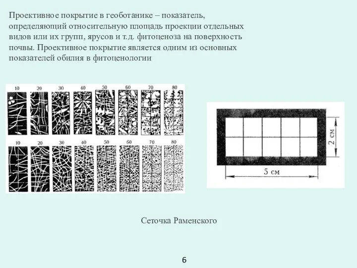 Проективное покрытие в геоботанике – показатель, определяющий относительную площадь проекции отдельных видов